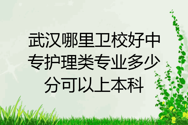 武汉哪里卫校好中专护理类专业多少分可以上本科