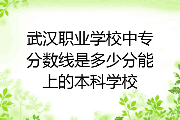 武汉职业学校中专分数线是多少分能上的本科学校