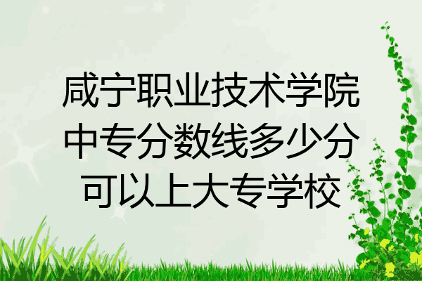咸宁职业技术学院中专分数线多少分可以上大专学校