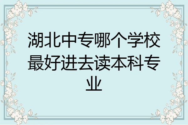 湖北中专哪个学校最好进去读本科专业