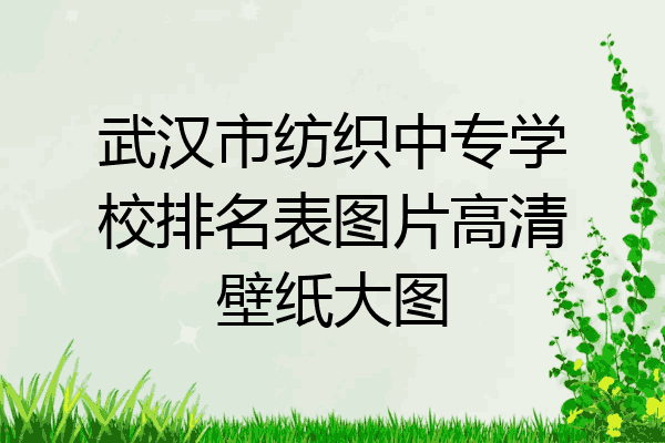 武汉市纺织中专学校排名表图片高清壁纸大图