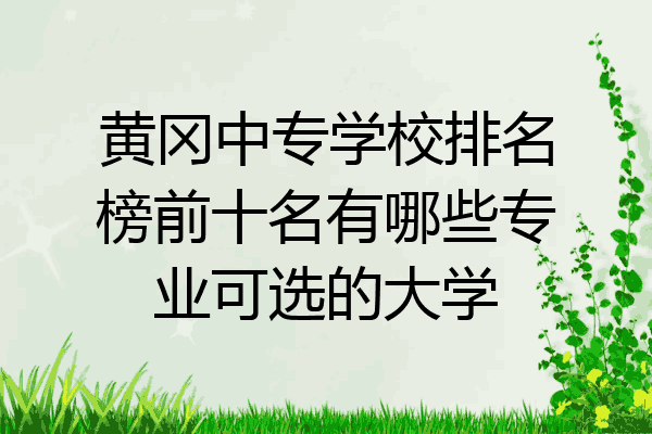 黄冈中专学校排名榜前十名有哪些专业可选的大学
