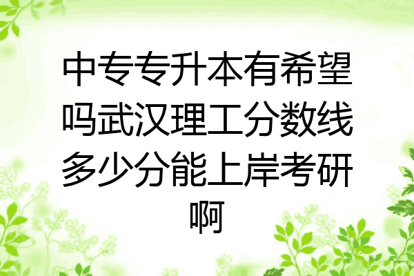 中专专升本有希望吗武汉理工分数线多少分能上岸考研啊