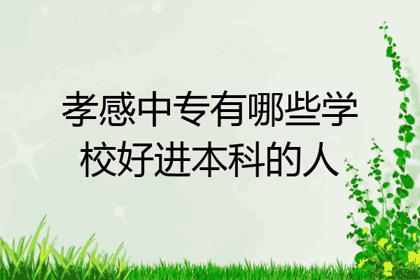 孝感中专有哪些学校好进本科的人
