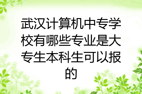 武汉计算机中专学校有哪些专业是大专生本科生可以报的