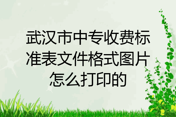 武汉市中专收费标准表文件格式图片怎么打印的