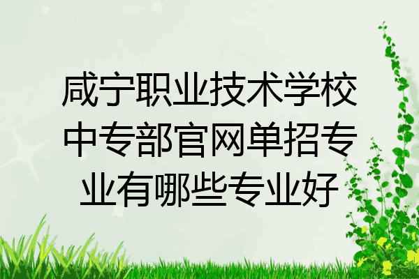 咸宁职业技术学校中专部官网单招专业有哪些专业好