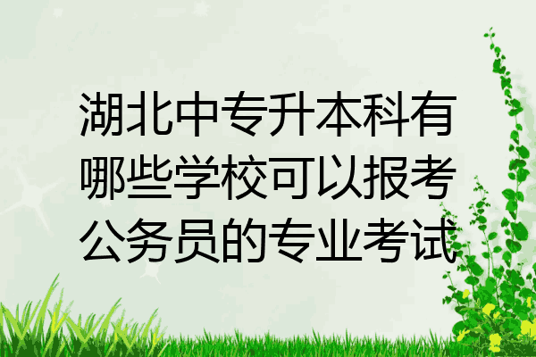 湖北中专升本科有哪些学校可以报考公务员的专业考试