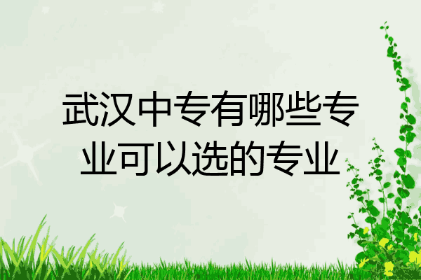 武汉中专有哪些专业可以选的专业