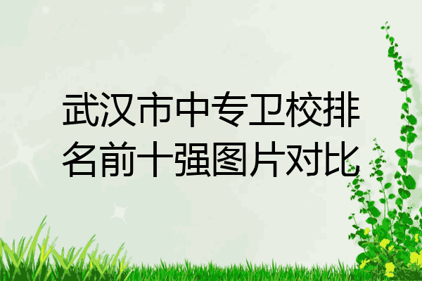 武汉市中专卫校排名前十强图片对比