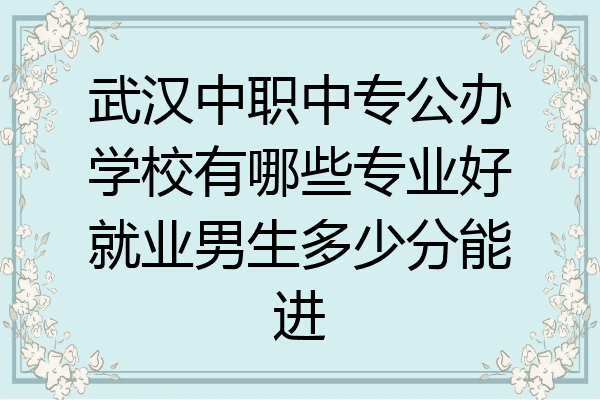 武汉中职中专公办学校有哪些专业好就业男生多少分能进