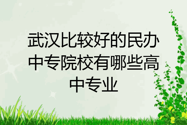 武汉比较好的民办中专院校有哪些高中专业