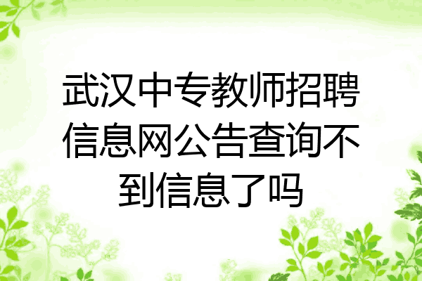 武汉中专教师招聘信息网公告查询不到信息了吗