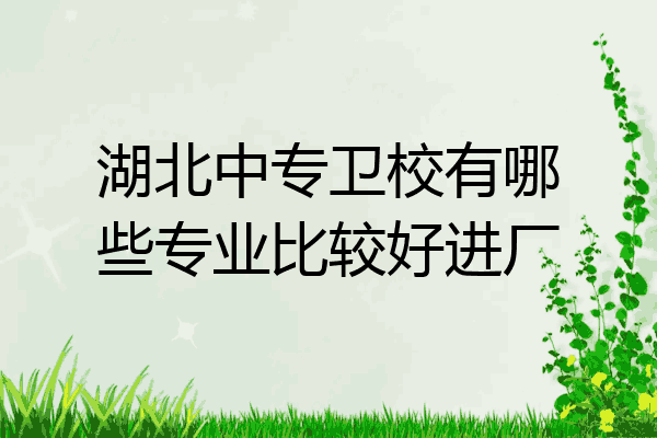 湖北中专卫校有哪些专业比较好进厂