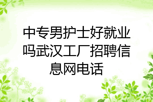 中专男护士好就业吗武汉工厂招聘信息网电话