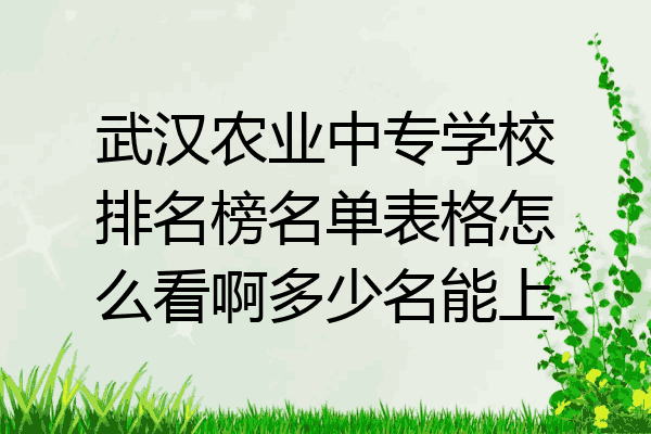 武汉农业中专学校排名榜名单表格怎么看啊多少名能上