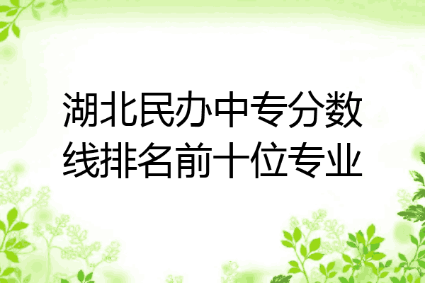 湖北民办中专分数线排名前十位专业