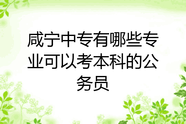 咸宁中专有哪些专业可以考本科的公务员