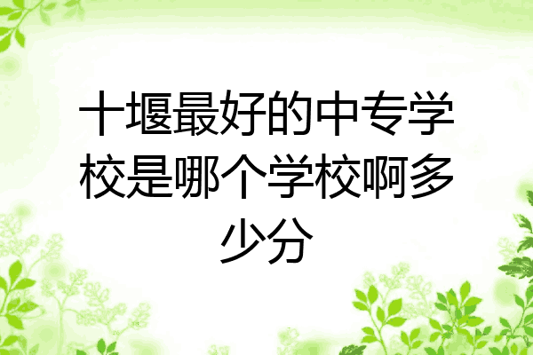十堰最好的中专学校是哪个学校啊多少分