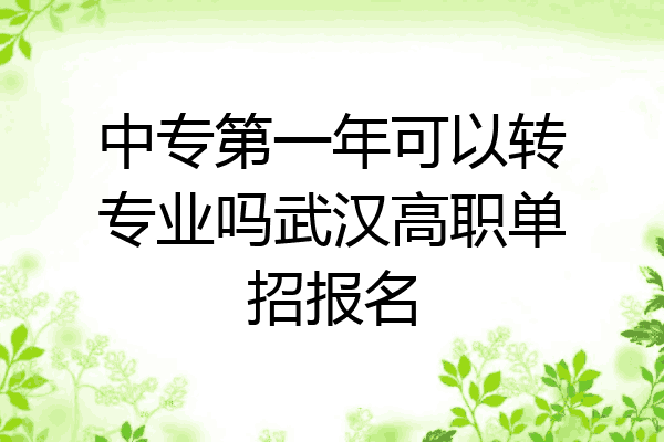 中专第一年可以转专业吗武汉高职单招报名