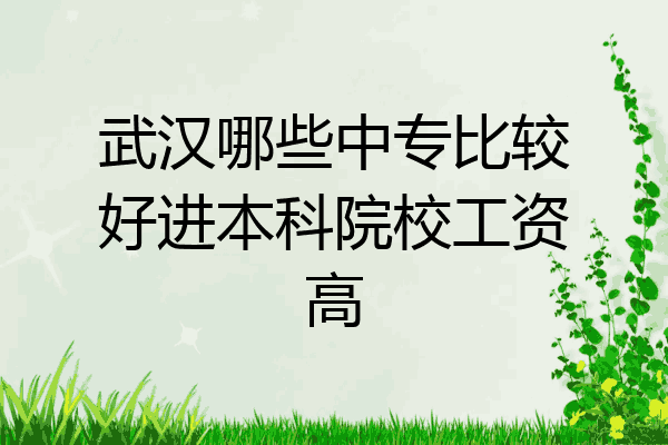武汉哪些中专比较好进本科院校工资高