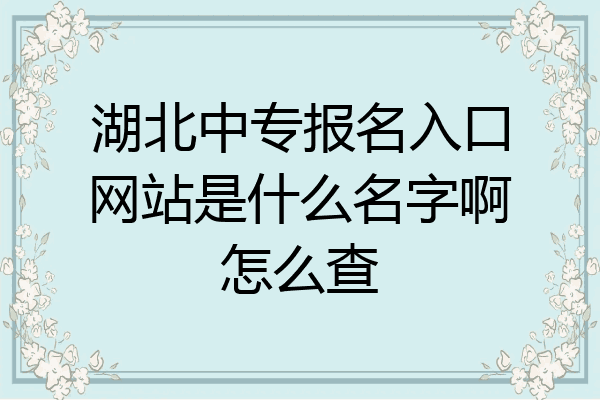 湖北中专报名入口网站是什么名字啊怎么查