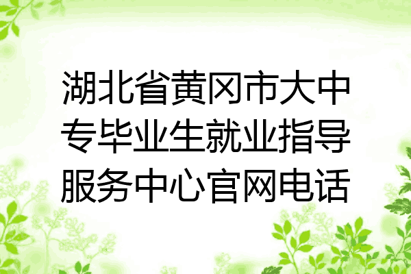 湖北省黄冈市大中专毕业生就业指导服务中心官网电话