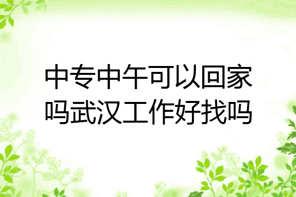 中专中午可以回家吗武汉工作好找吗