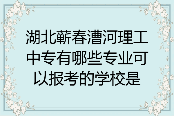 湖北蕲春漕河理工中专有哪些专业可以报考的学校是