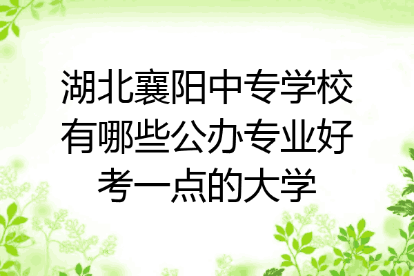 湖北襄阳中专学校有哪些公办专业好考一点的大学