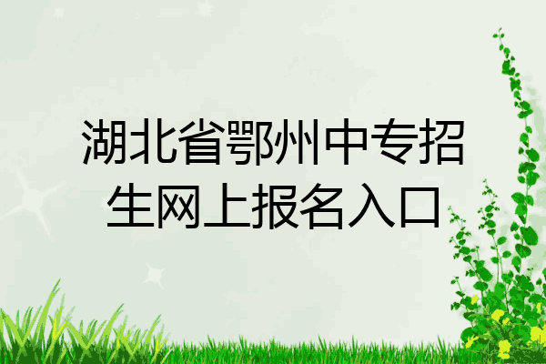 湖北省鄂州中专招生网上报名入口