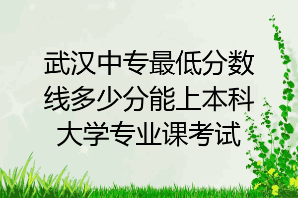 武汉中专最低分数线多少分能上本科大学专业课考试