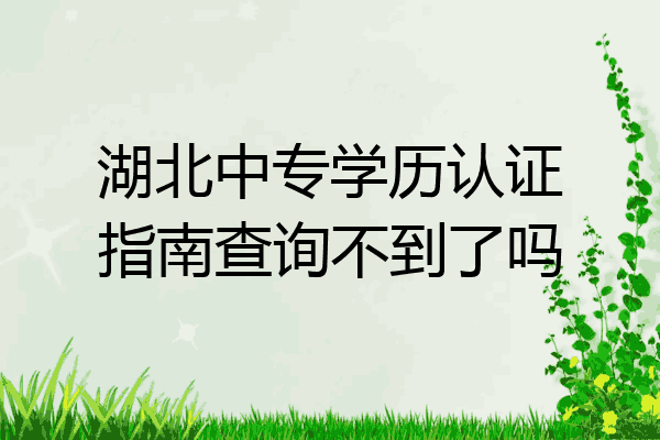 湖北中专学历认证指南查询不到了吗