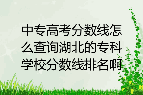 中专高考分数线怎么查询湖北的专科学校分数线排名啊
