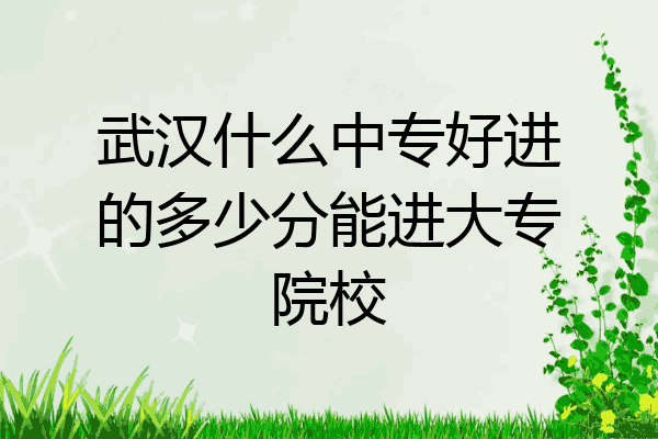 武汉什么中专好进的多少分能进大专院校