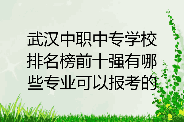 武汉中职中专学校排名榜前十强有哪些专业可以报考的