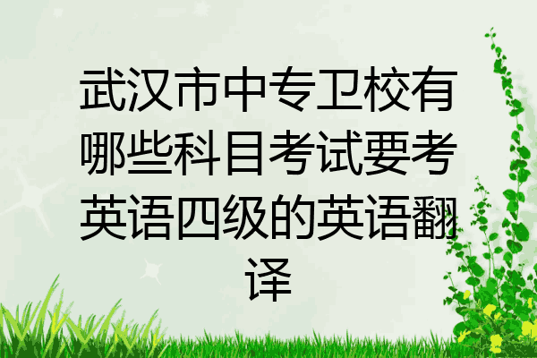 武汉市中专卫校有哪些科目考试要考英语四级的英语翻译