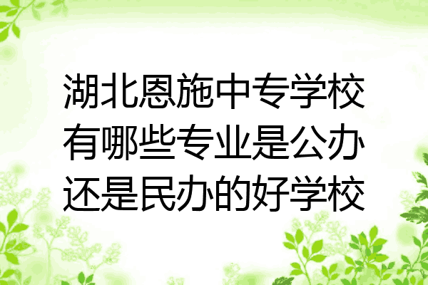 湖北恩施中专学校有哪些专业是公办还是民办的好学校
