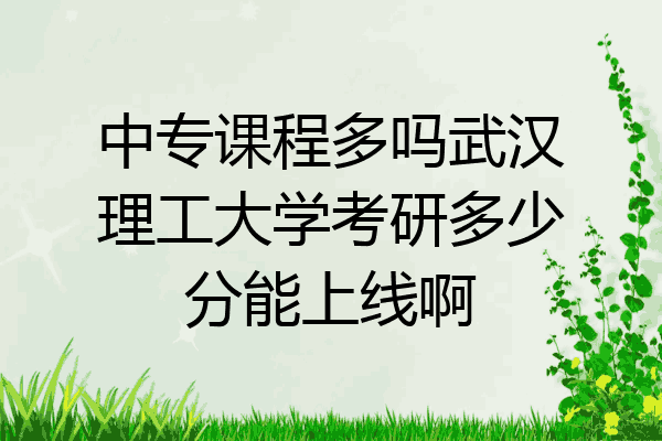 中专课程多吗武汉理工大学考研多少分能上线啊