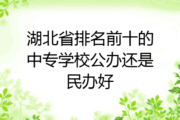 湖北省排名前十的中专学校公办还是民办好