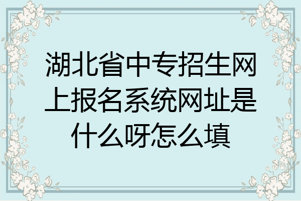 湖北省中专招生网上报名系统网址是什么呀怎么填