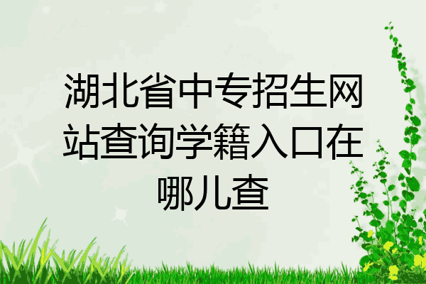 湖北省中专招生网站查询学籍入口在哪儿查