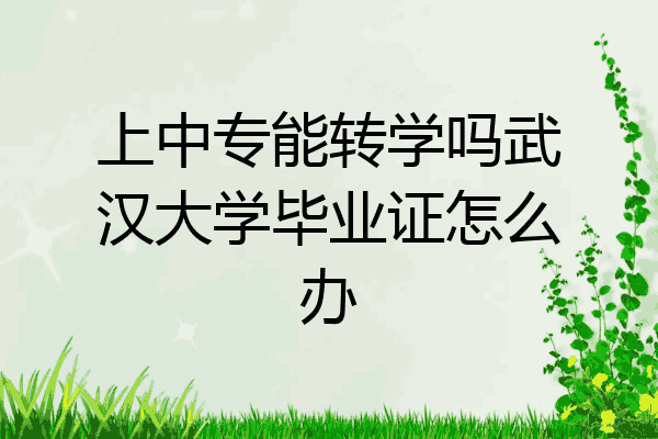 上中专能转学吗武汉大学毕业证怎么办