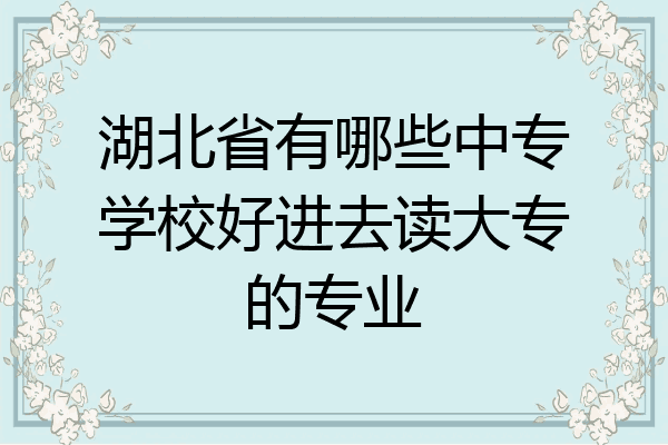 湖北省有哪些中专学校好进去读大专的专业
