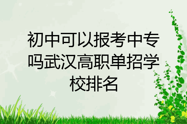 初中可以报考中专吗武汉高职单招学校排名