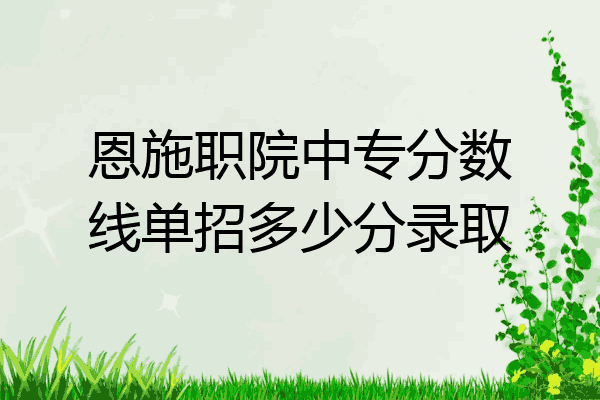 恩施职院中专分数线单招多少分录取