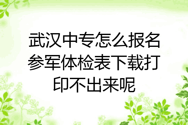 武汉中专怎么报名参军体检表下载打印不出来呢
