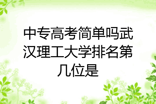 中专高考简单吗武汉理工大学排名第几位是