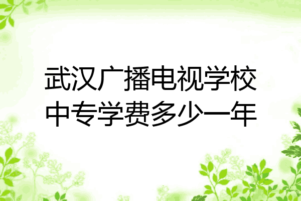 武汉广播电视学校中专学费多少一年