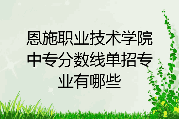 恩施职业技术学院中专分数线单招专业有哪些